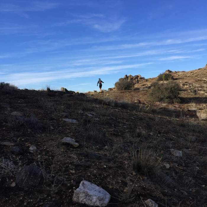 Near Quail Mountain Loop