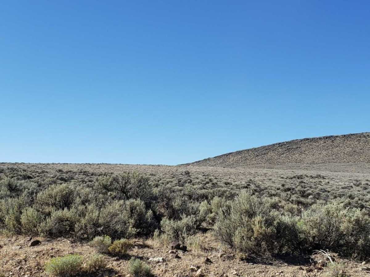 Sunstone Collection Area photo 4
