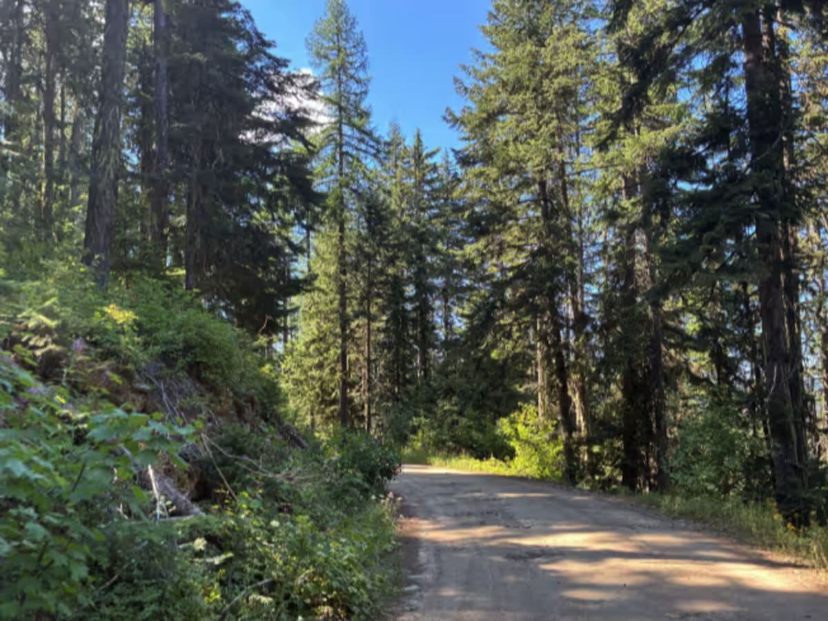 Dry Creek Road photo 5