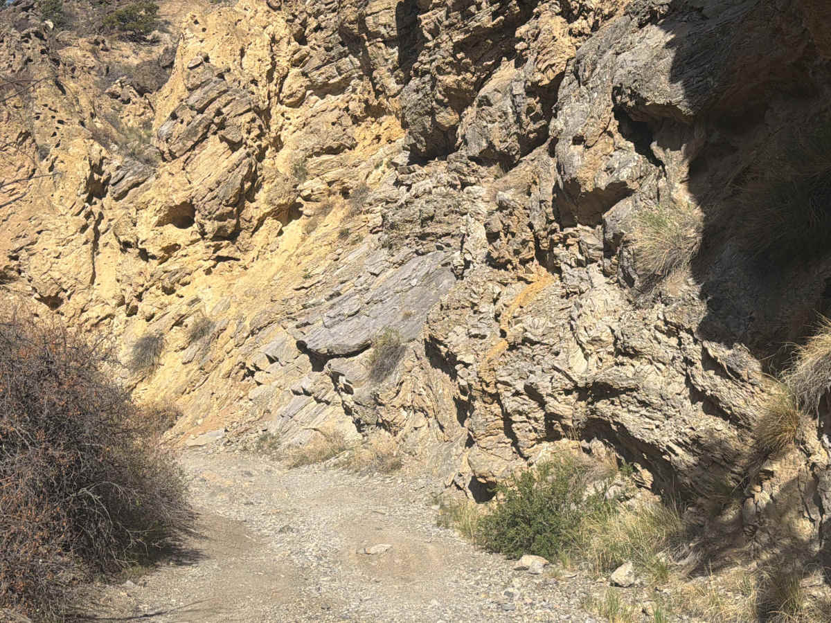 BLM 5971 photo 2