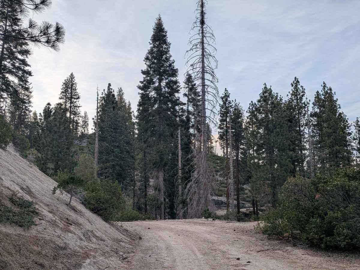 Packsaddle - FS 23S26 photo 3