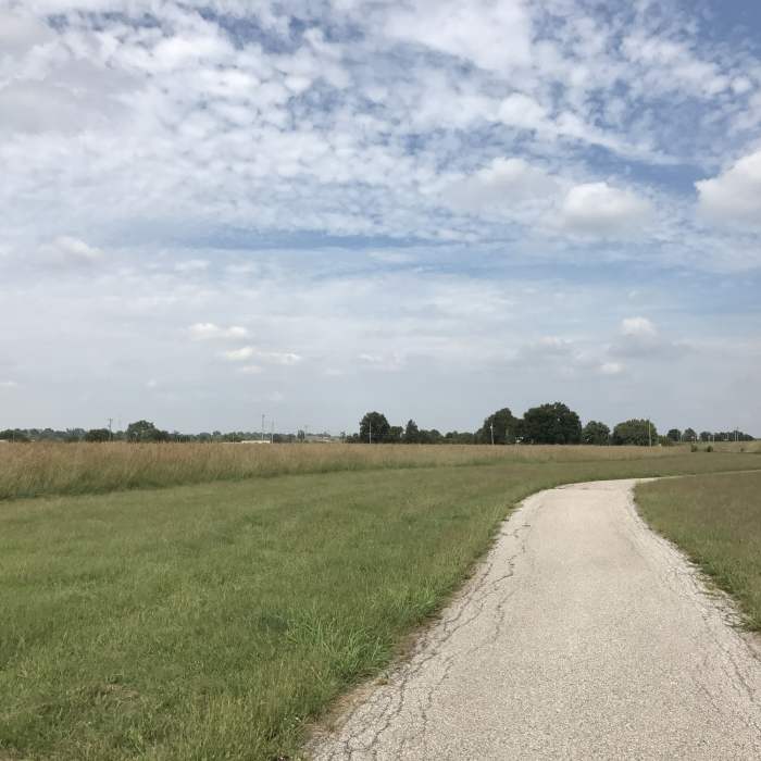 Near Poplar Walking Trail