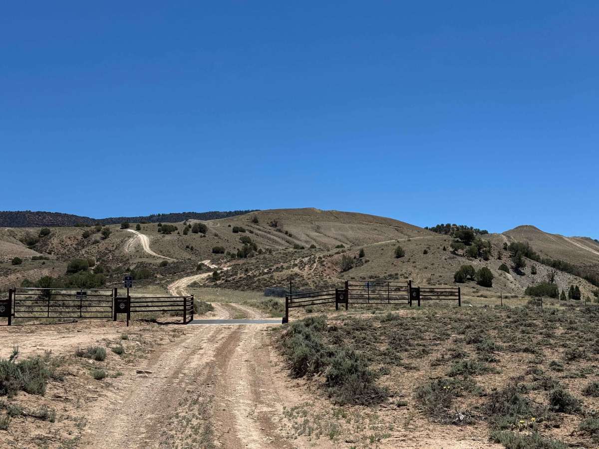 BLM 8479 trail photo