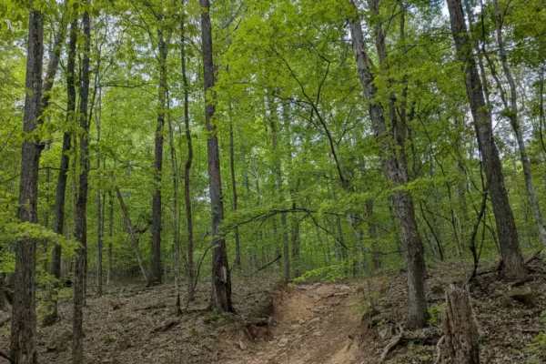 Trail 27