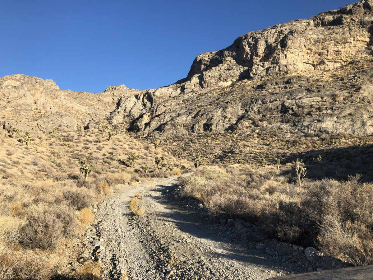 Cow Camp Road photo 4