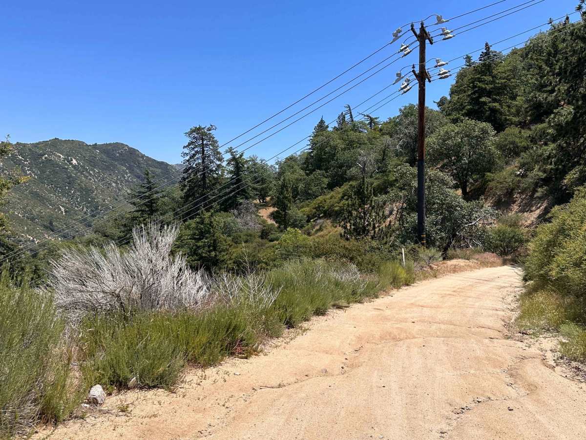 Jackrabbit Run trail photo