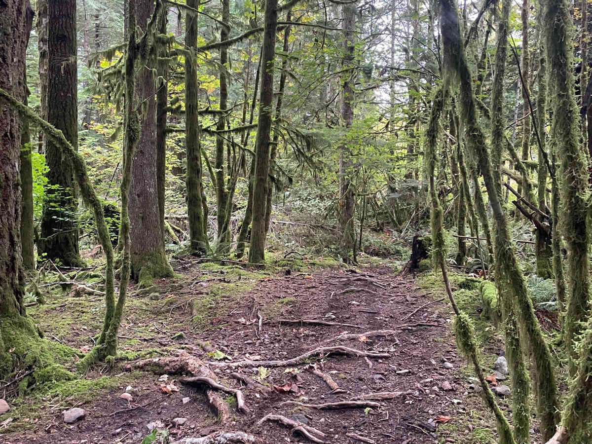 Bare Bones trail photo