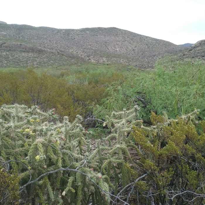 View of A Mountain from the trail Near Alamo North-South Connector