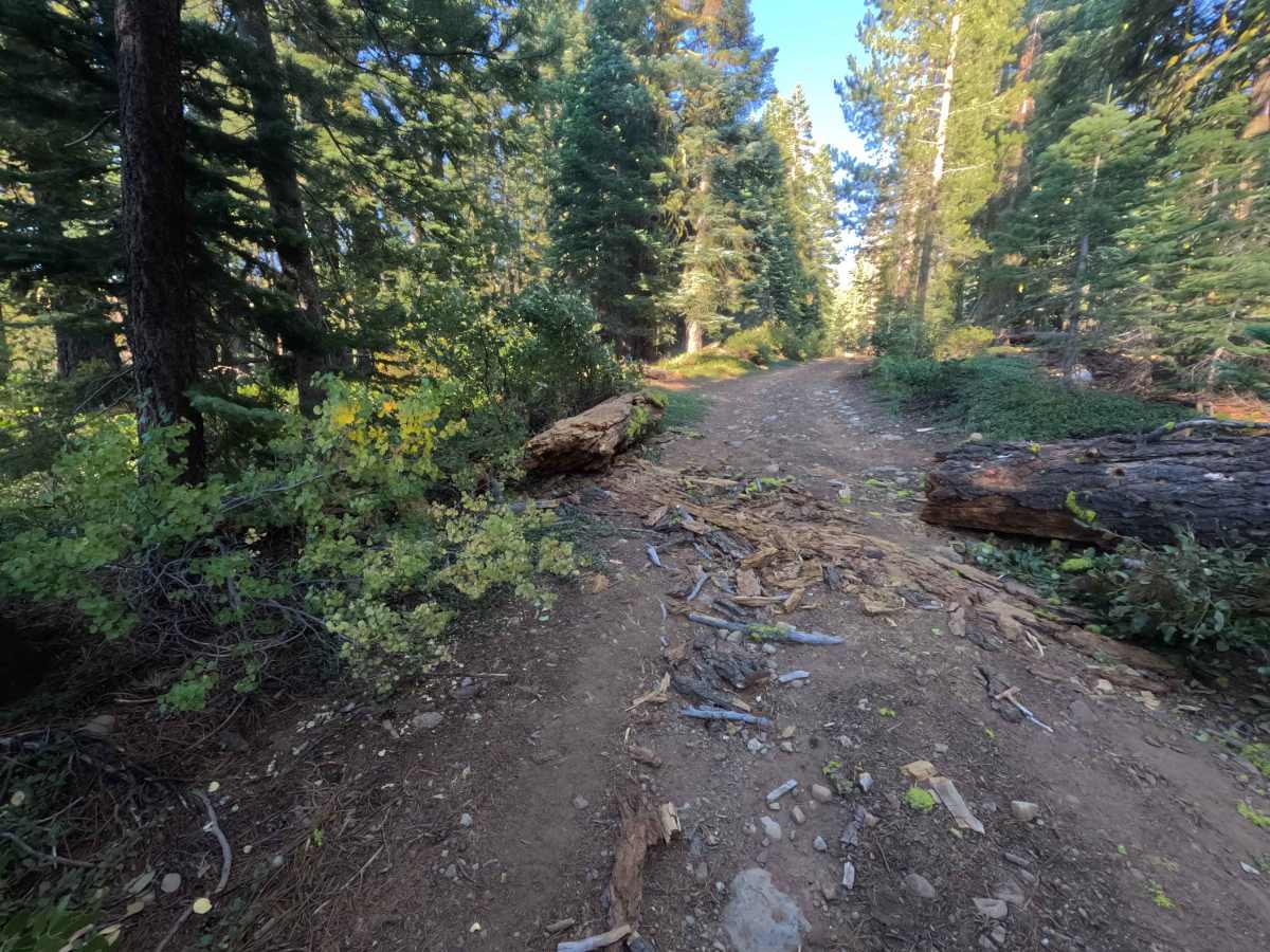 South Sagehen Creek - FS 0011-010 photo 6