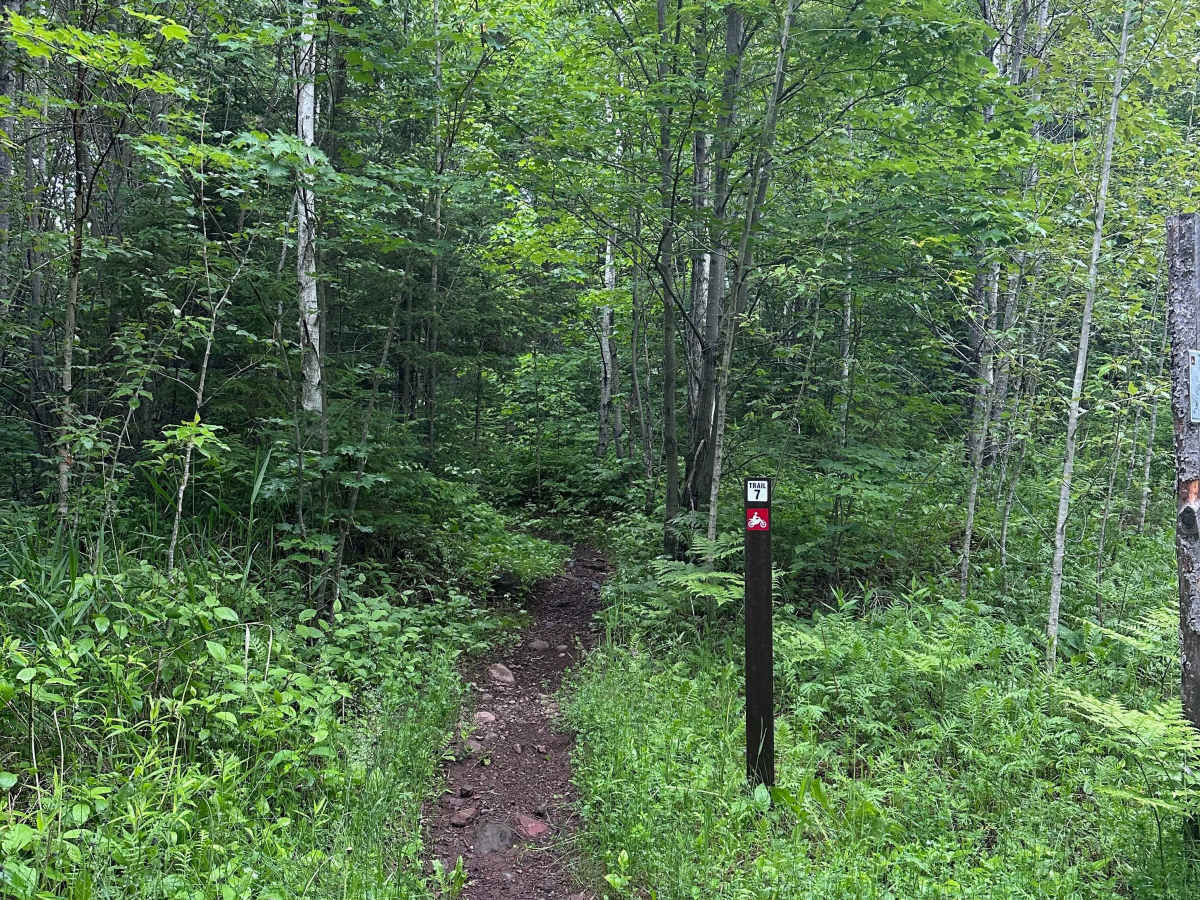 Alger Grade - Trail 7 trail photo