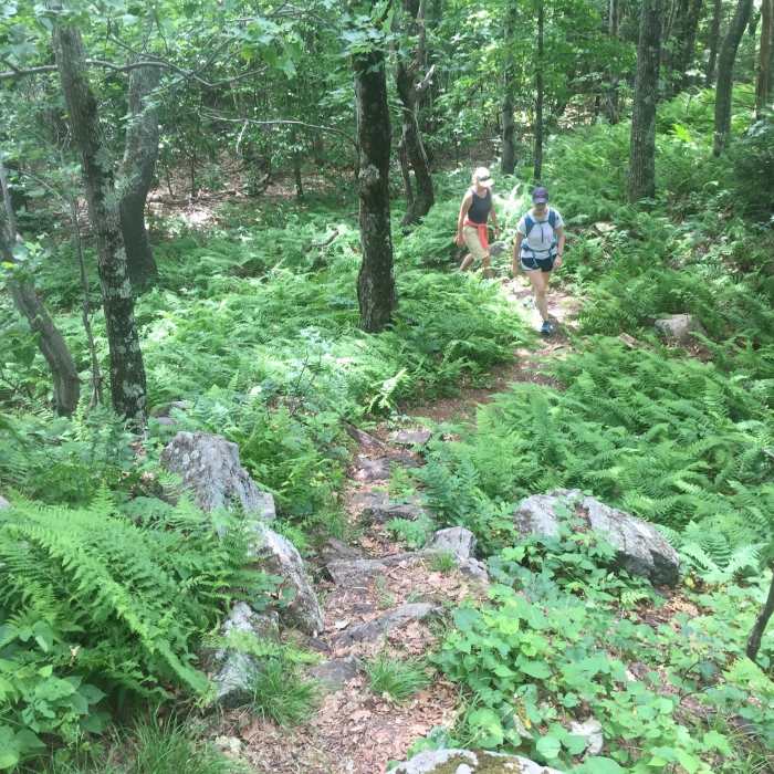 Almost to the top! Near Copple Crown