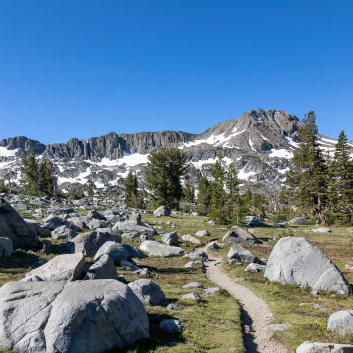 Round Top Near Winnemucca Lake and Elephant's Back
