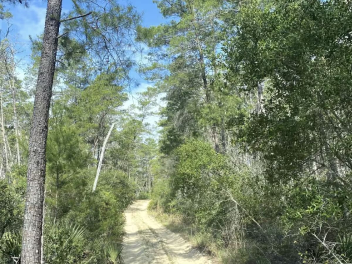 FR 5-10.0 photo 6