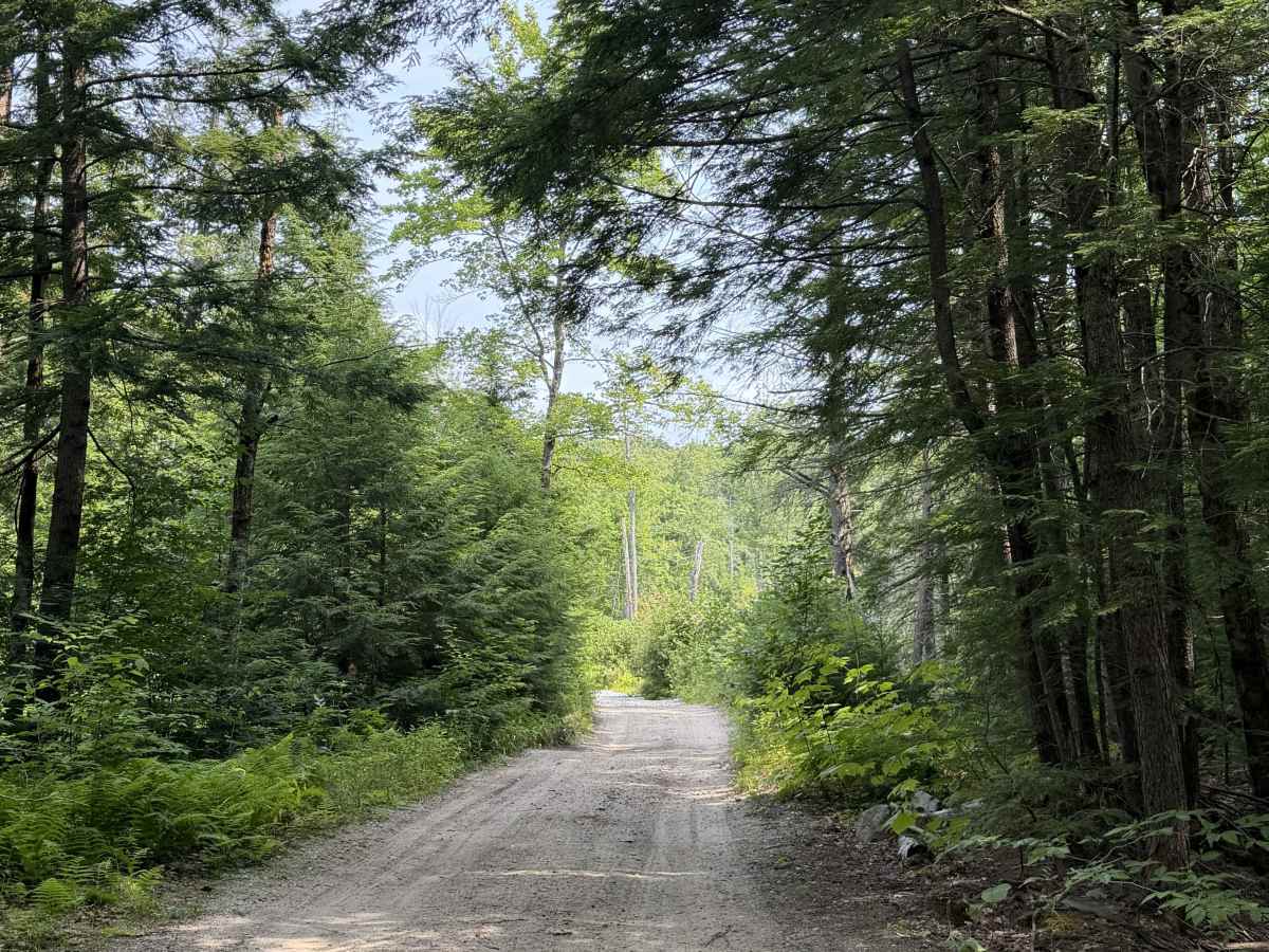 Mink Hill Road photo 3