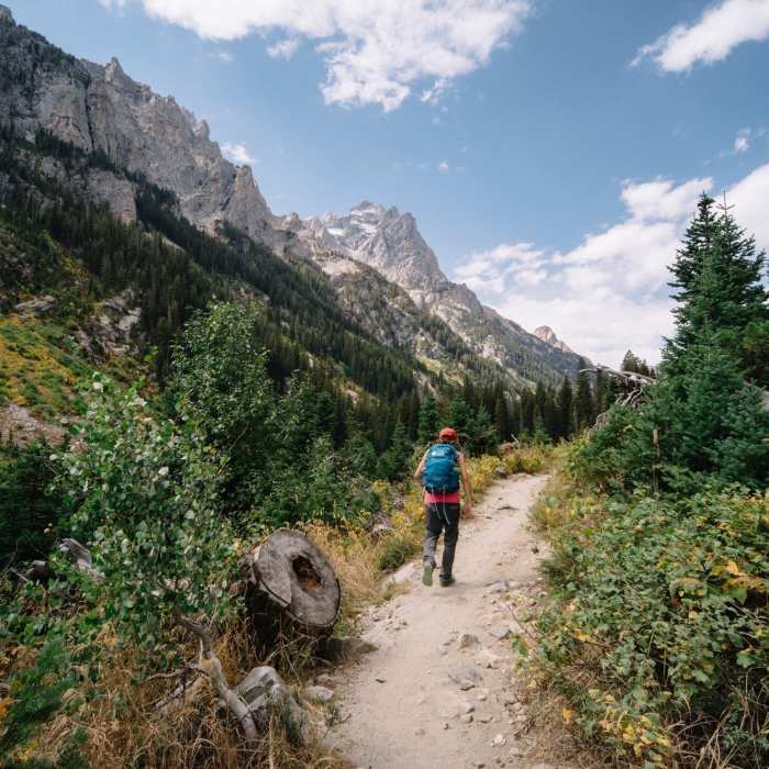 Near Cascade Canyon Trail