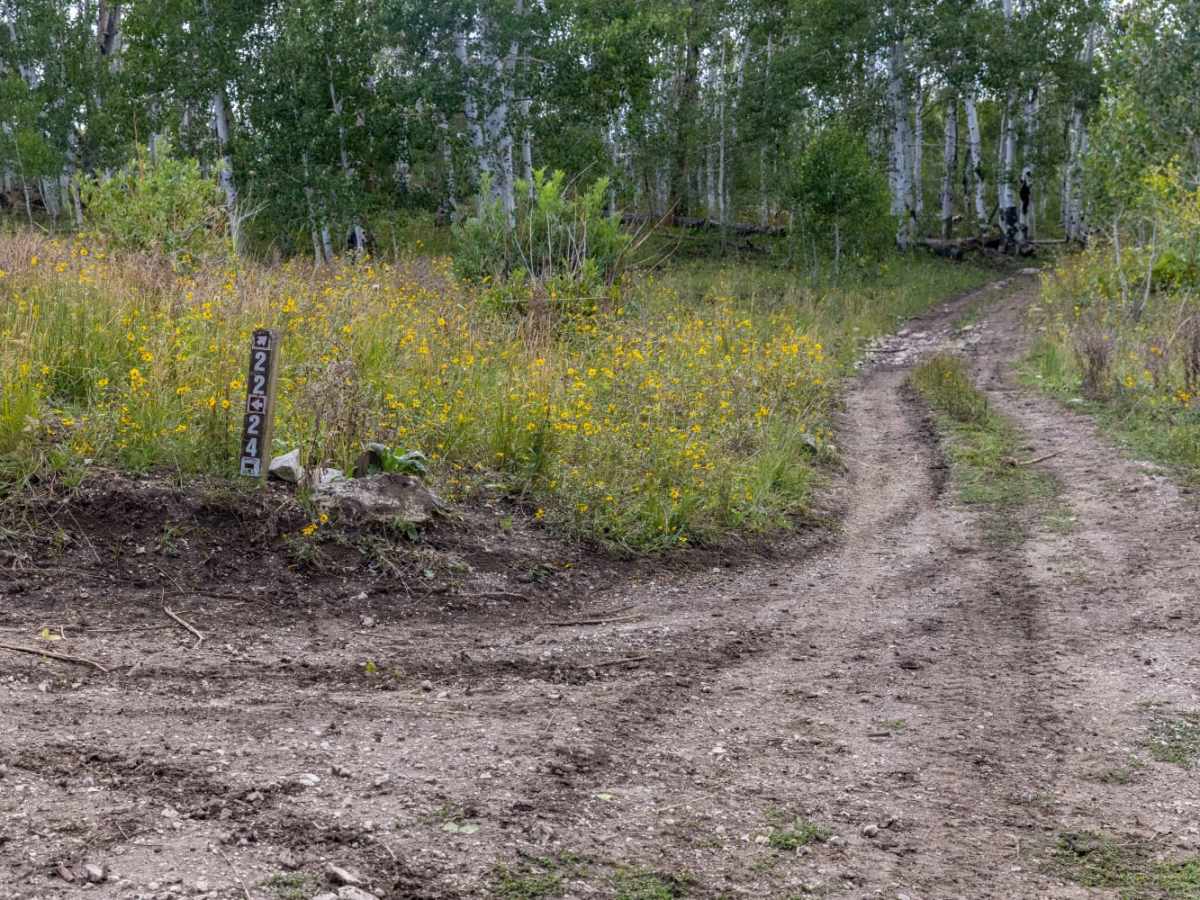 Olsen - Clear Creek Trail photo 5