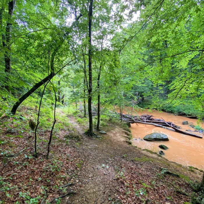Near Main Loop Trail