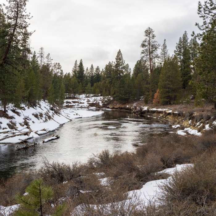 Near Deschutes River Loop