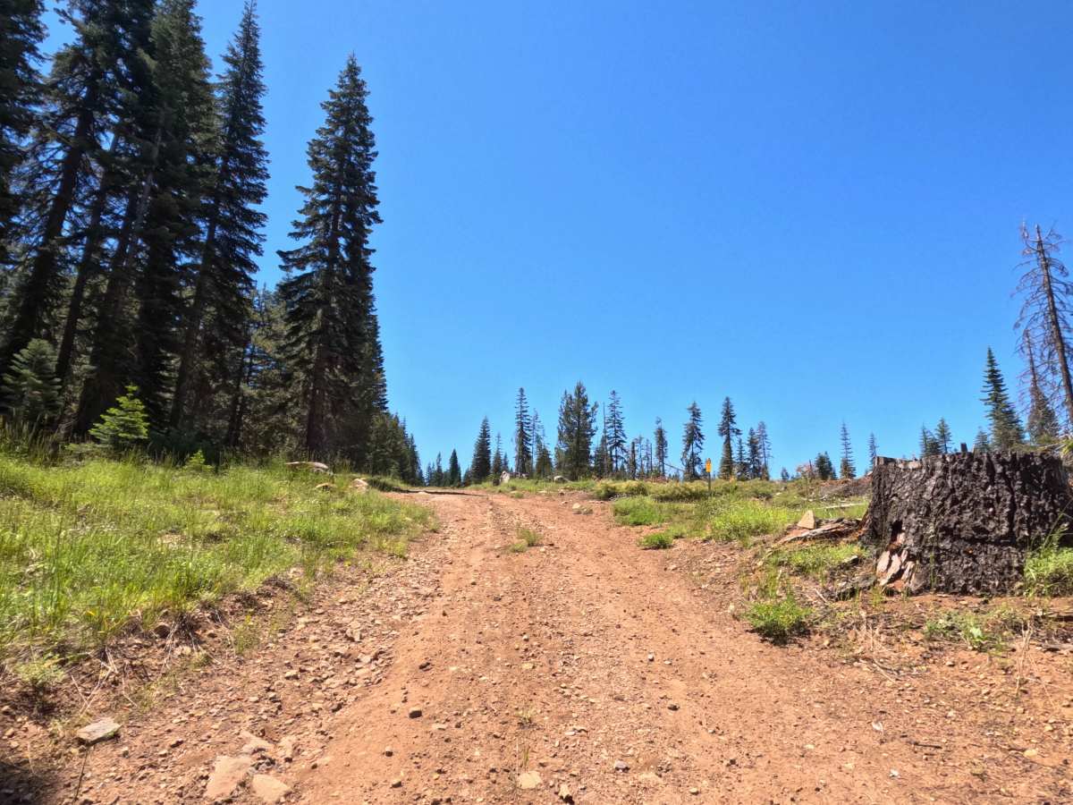 FS 11N99AA trail photo