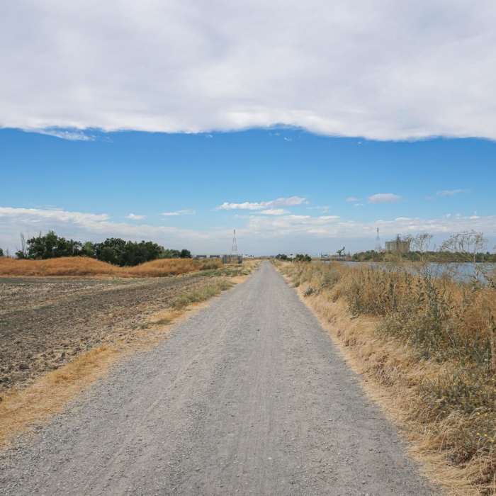 Near Barge Canal Trail