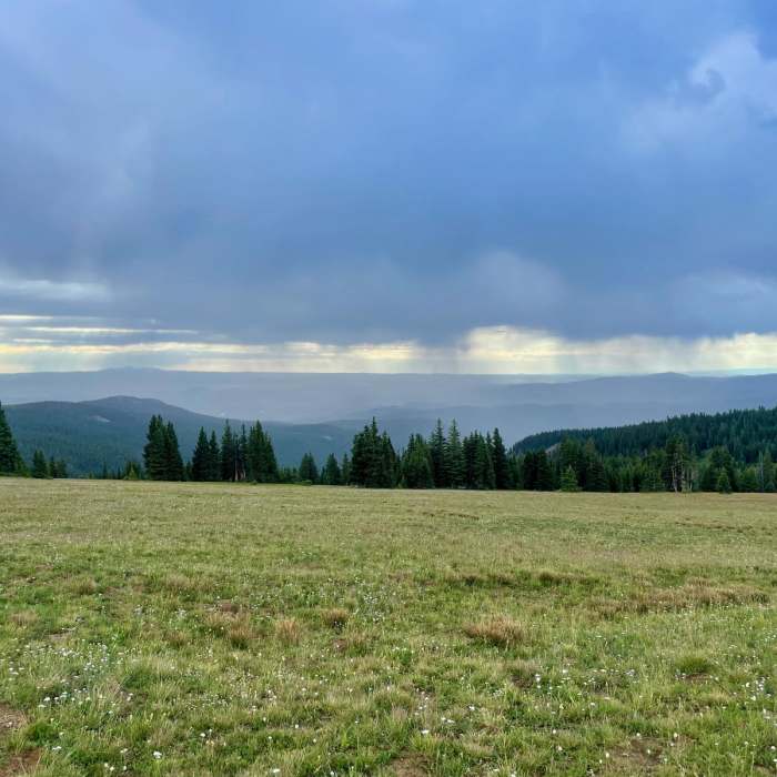 Near Continental Divide Trail: Wyoming Section 2