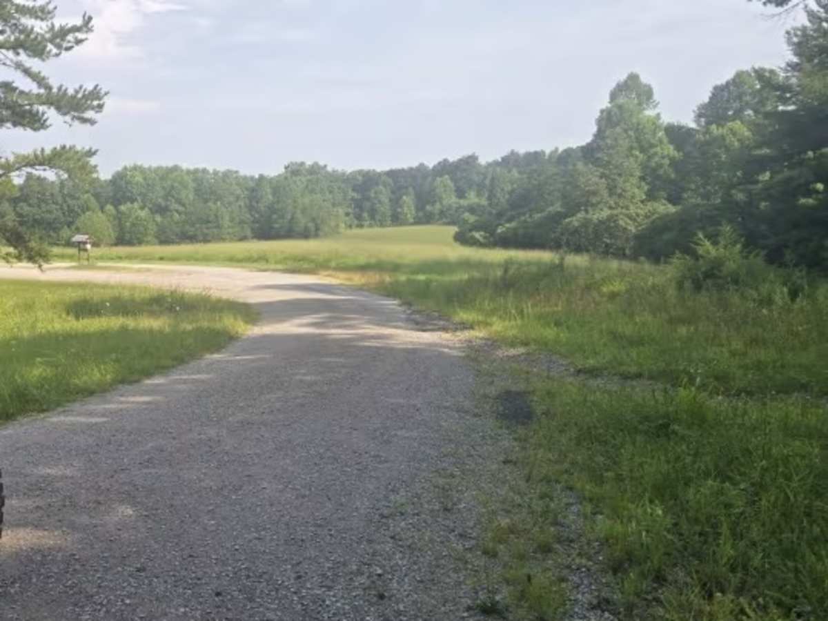 Fork Ridge Road photo 5