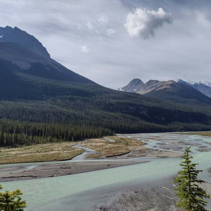 Near Alexandra River Trail