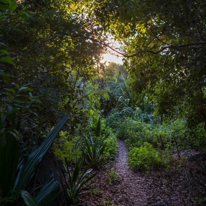Kalalau Trail - back from the stream Near Kalalau Camping via End of Valley Trail