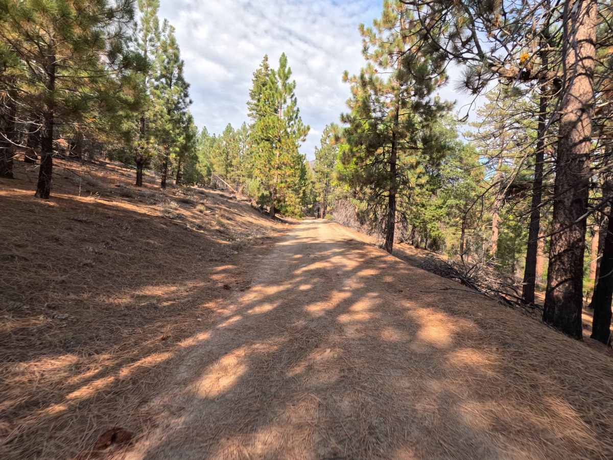 Kaiser Creek - FS 6S027 photo 6