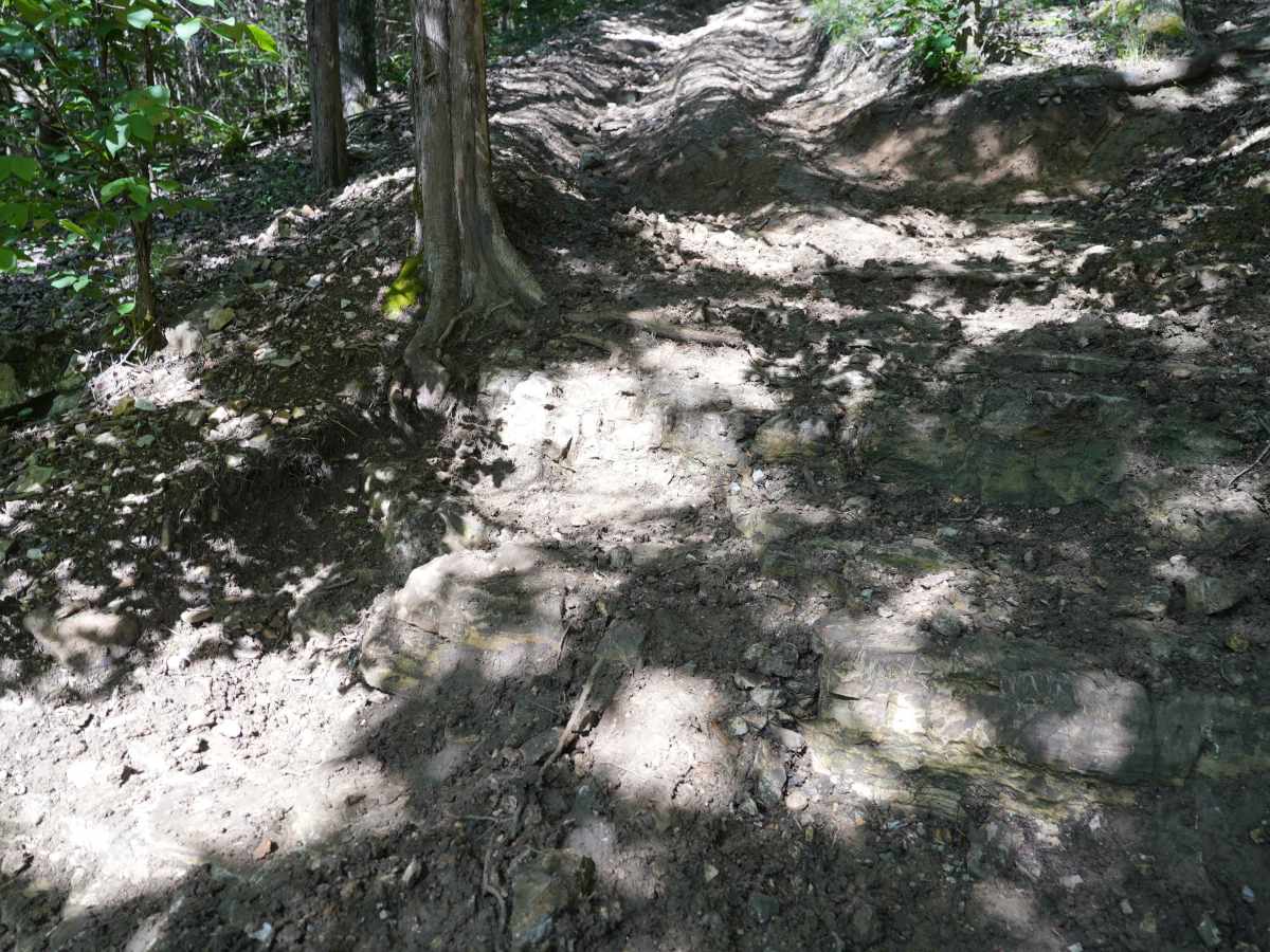Bickel's Shitty Hill photo 3