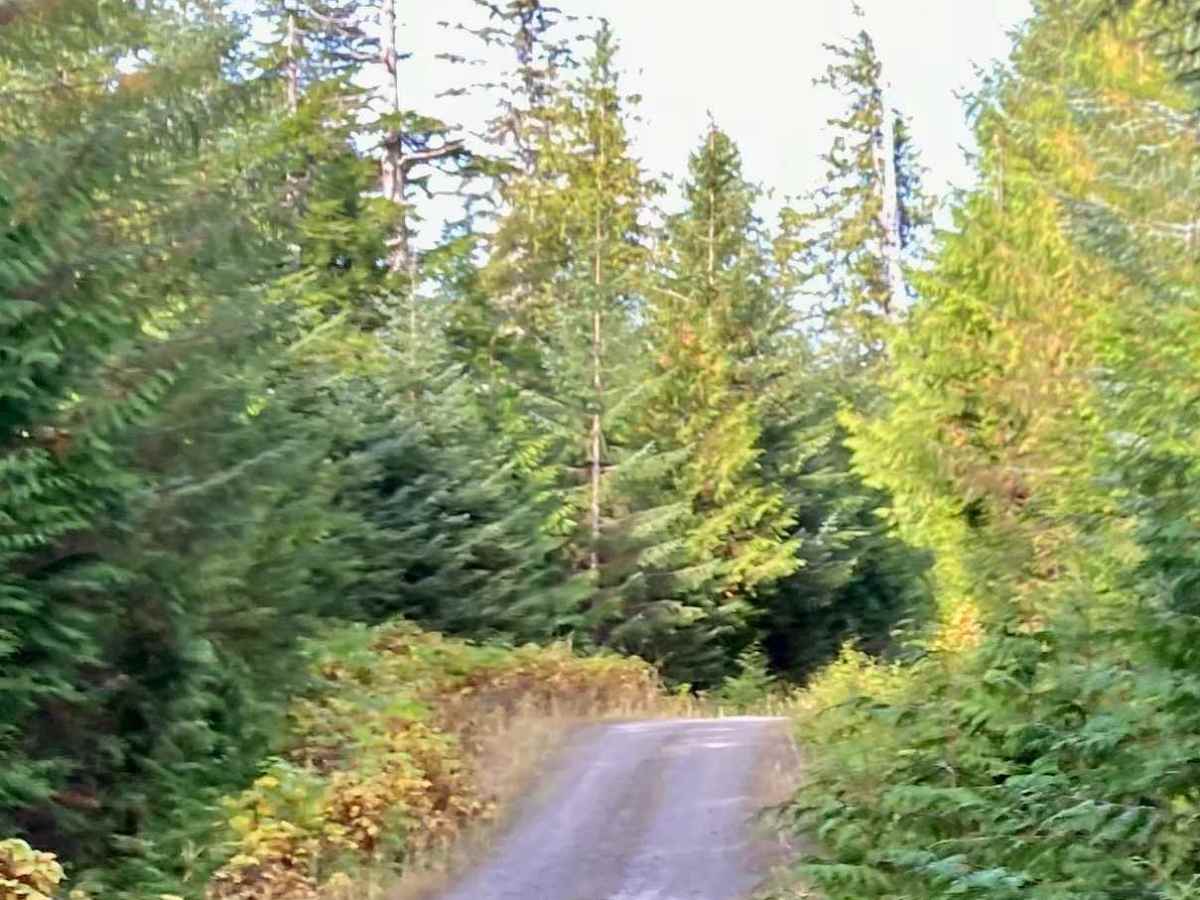 Tuxekan Passage - FS 2054000 trail photo