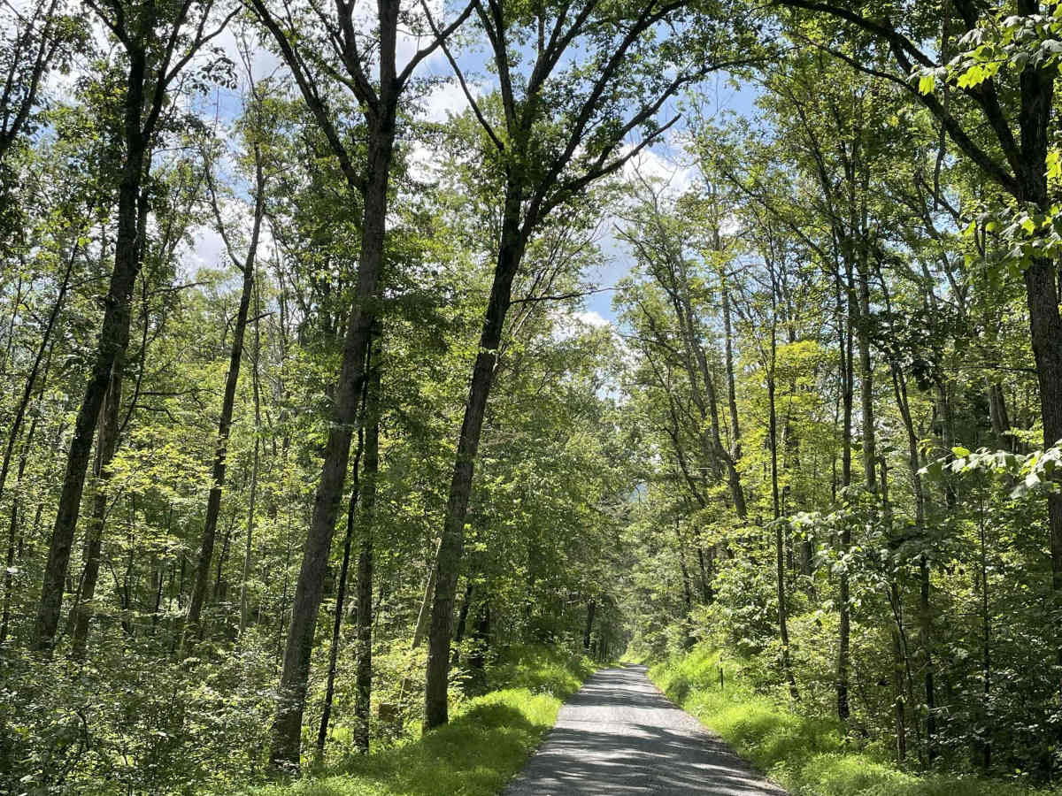 Spruce Run Road photo 2
