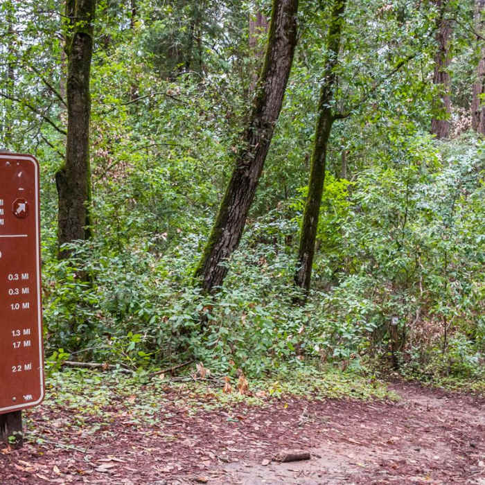 Near River Trail Hike