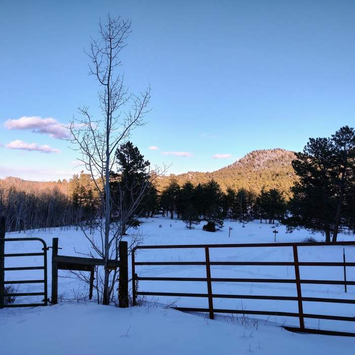 Near Elkhorn Trailhead Loop