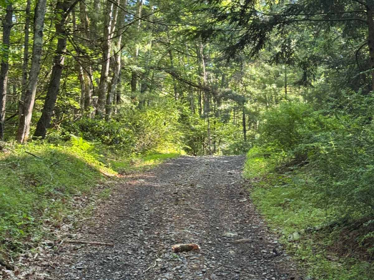 South Access Trail photo 3