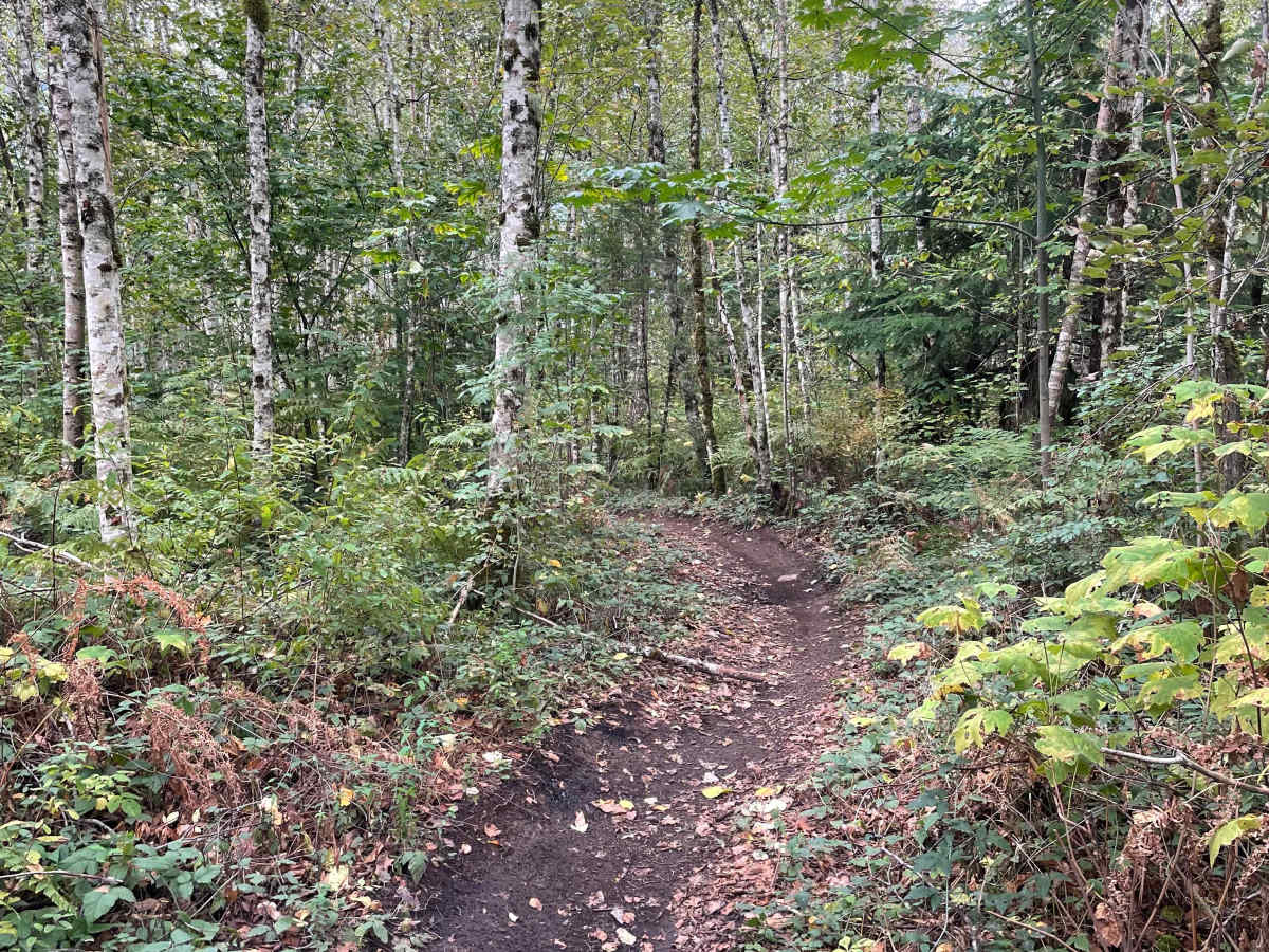 Green Intro trail photo