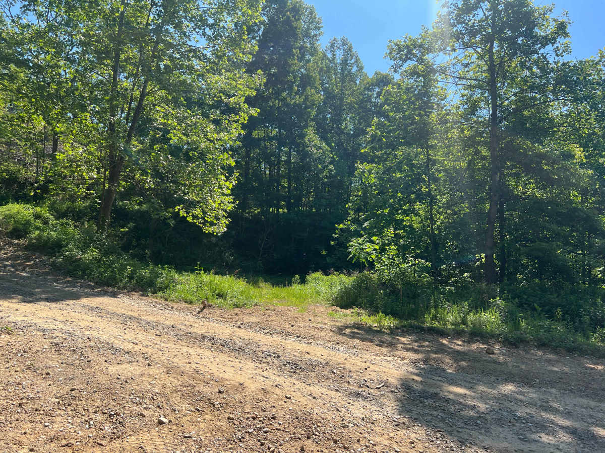 KC19 trail photo