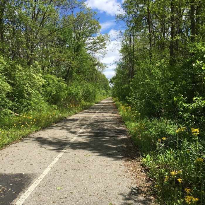 The B&O Trail (East) is beautifully paved. Near B&O Trail (East)