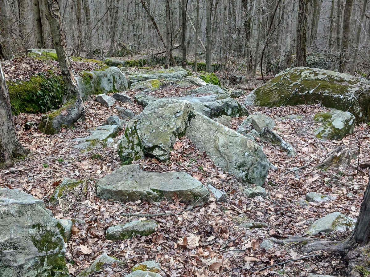 OHV 62 - Rock Run Recreation Area photo 2