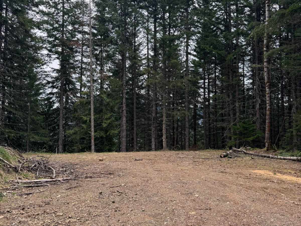 Watch Lake - FS 7561 trail photo