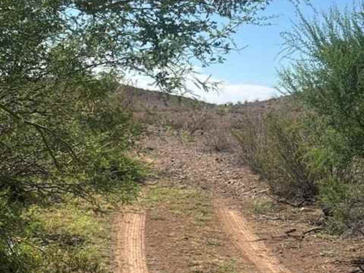 BLM PE1021 trail photo