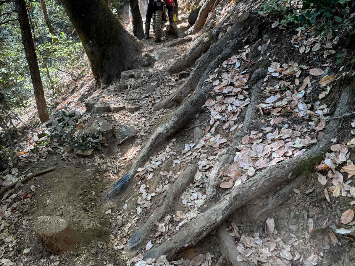 Trail 8 (11E24)  photo 2