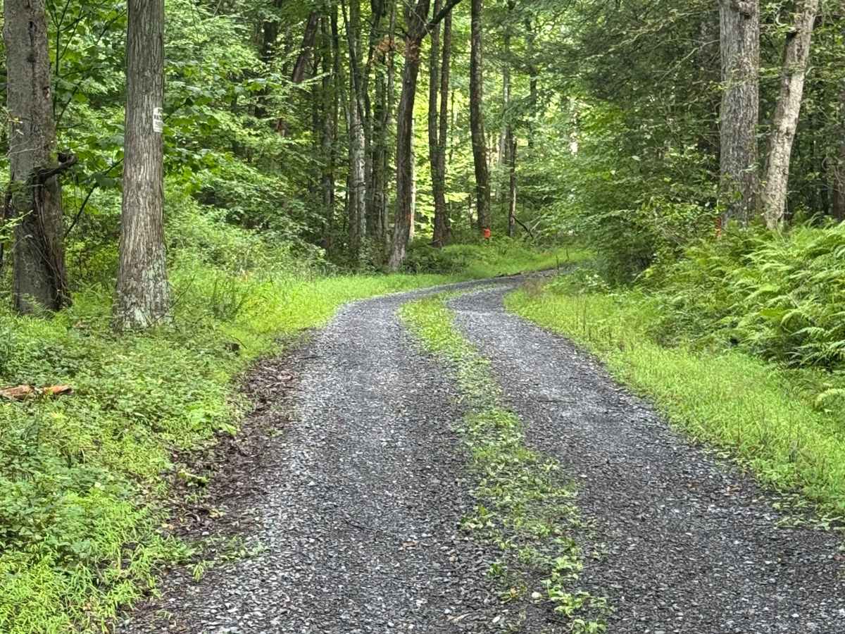 Rock Run Road photo 6