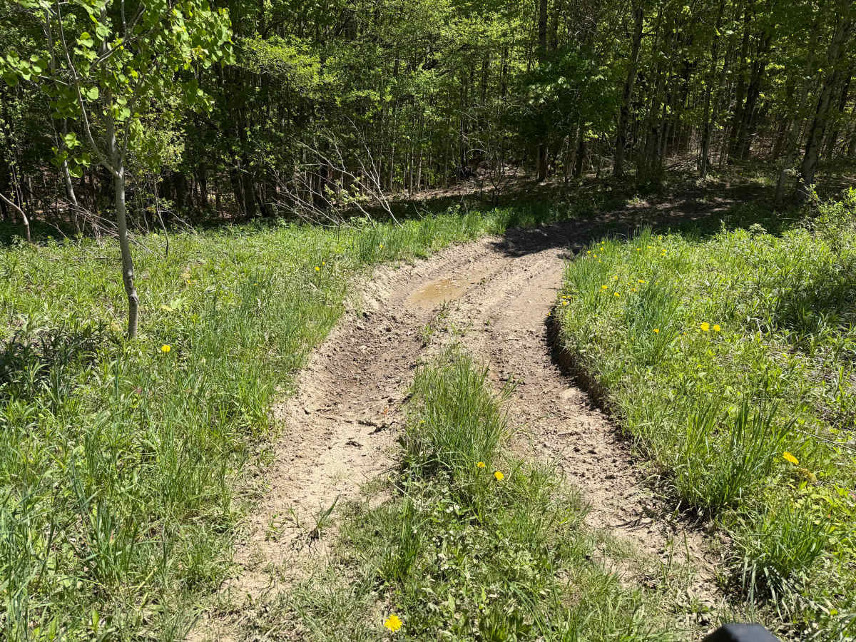 Bauer Wooded Spur Trail photo 2