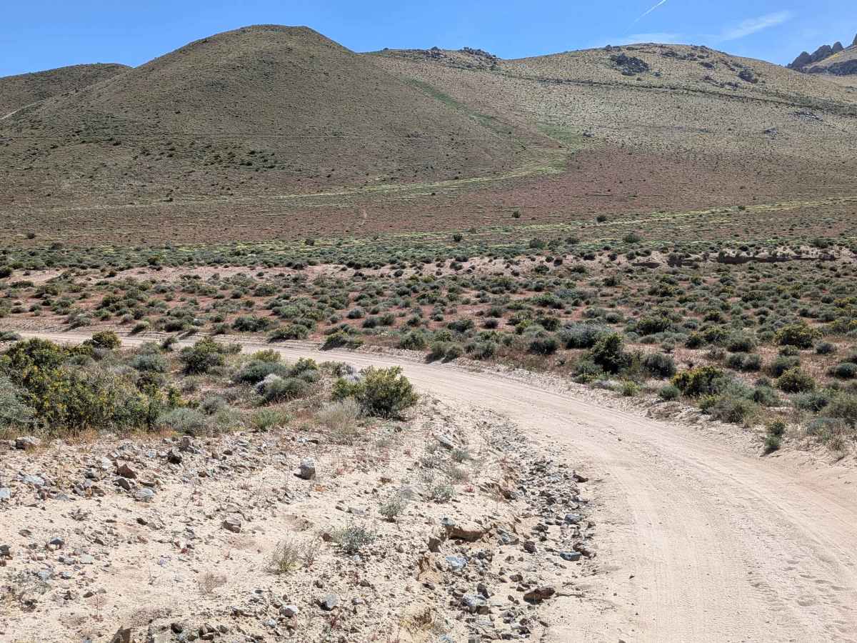 Short Canyon Road - BLM SE138 photo 5