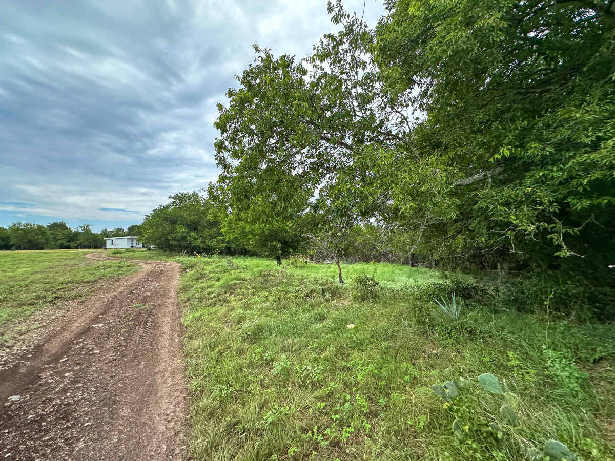 Deet's Drive photo 4