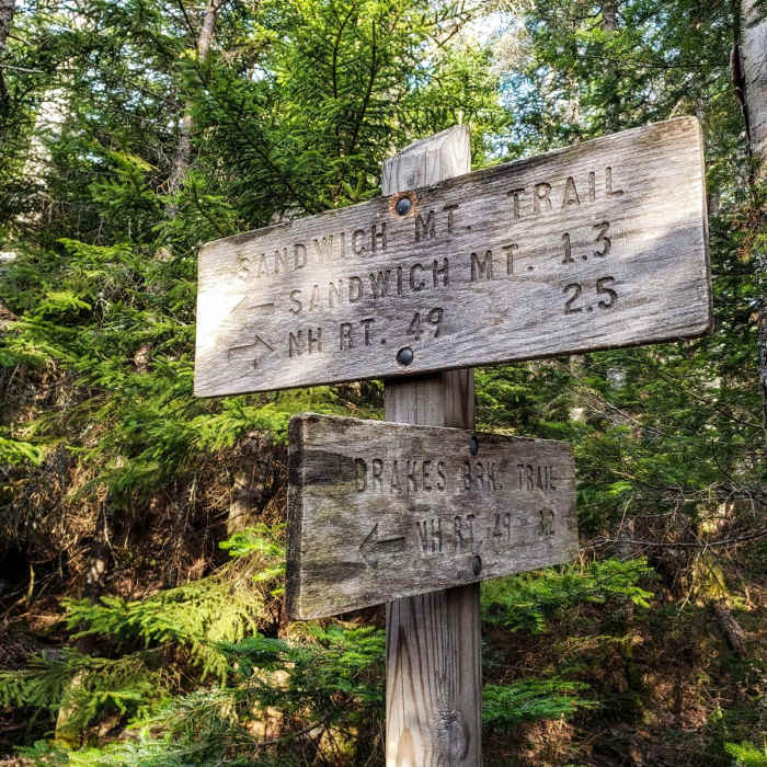 Near Sandwich Dome via Sandwich Mountain Trail + Drakes Brook Trail Near Sandwich Dome via Sandwich Mountain Trail + Drakes Brook Trail