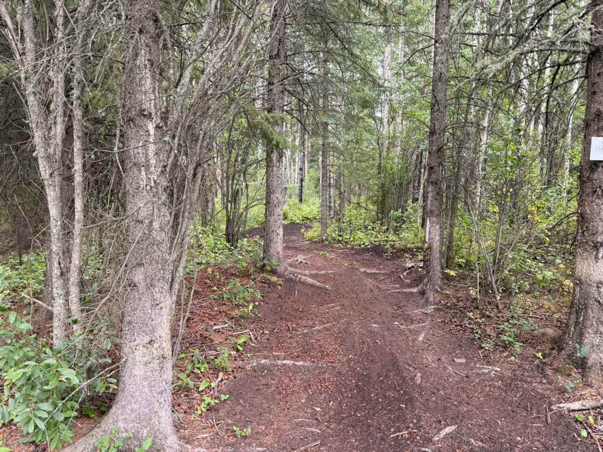 Aspen Loop Extended photo 5