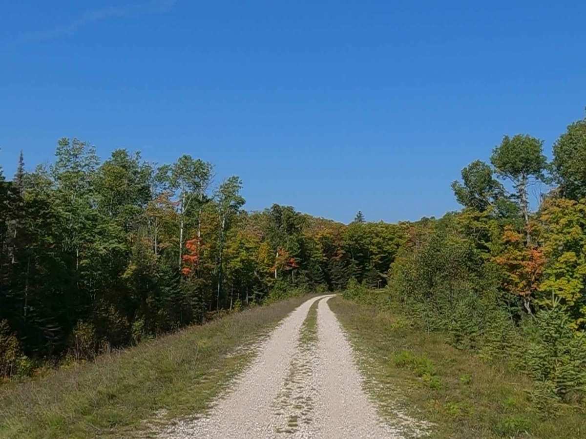 ORV Route A Service Bridge - FS 3810  photo 6