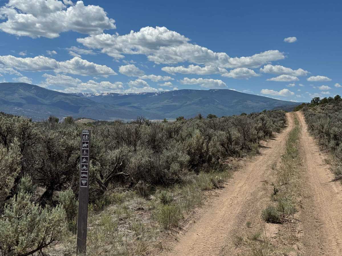 BLM 8468 photo 2